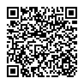 QR Code for Descriptors For Rice