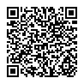 QR Code for Recent Developments in Research on Nitrogen Fertilizers for Rice