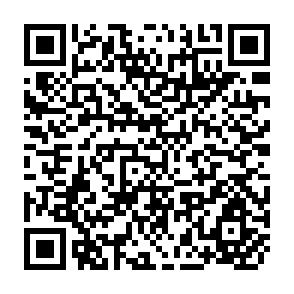 QR Code for The IRRI Computerized Mailing List System