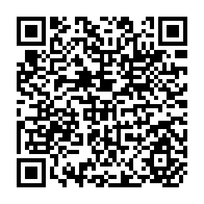 QR Code for Rural-born Fijians in Suva