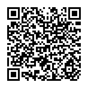 QR Code for Food Distribution Systems in the South Pacific