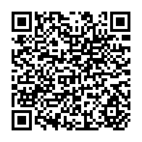 QR Code for Sorghum Diseases A World Review