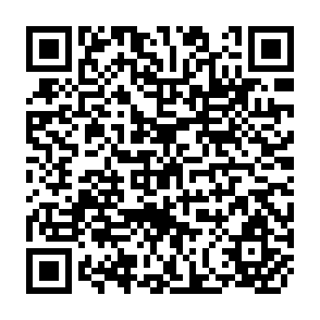 QR Code for Food in Fiji: The Produce and Processed foods Distribution Systems