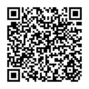 QR Code for Land Tenure and Associated Institutions