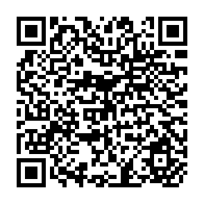 QR Code for World Cartography Volume XI