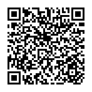 QR Code for Programmer's Introduction