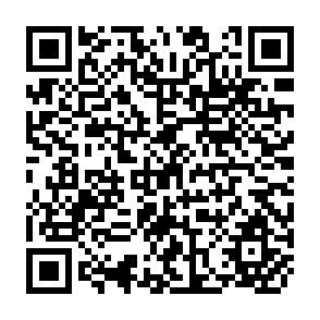 QR Code for Cultures in Comflict: The Four Faces of Indian Bureaucracy