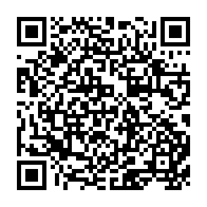 QR Code for National Migration Surveys