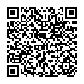 QR Code for National Migration Surveys