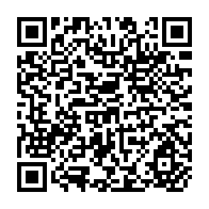 QR Code for National Migration Surveys