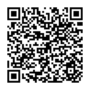QR Code for National Migration Surveys