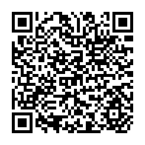 QR Code for Guidelines for Agricultural Mechanization Strategy in Development
