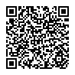 QR Code for Survey of Economy, Resources and Prospects of South Asia