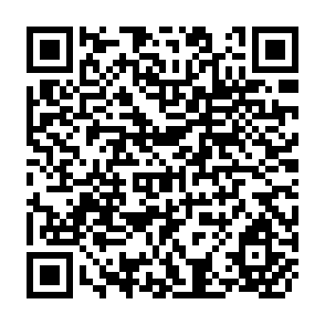 QR Code for Survey of Economy, Resources and Prospects of South Asia