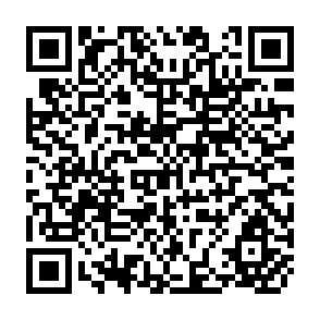 QR Code for Nuptiality Patterns in Developing Countries: Implications For Fertility