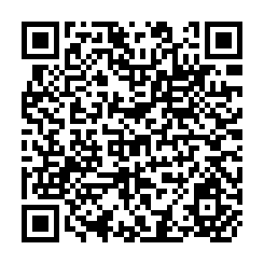 QR Code for The Quest For A Unified Approach to Development
