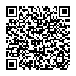 QR Code for Figuring Out Society