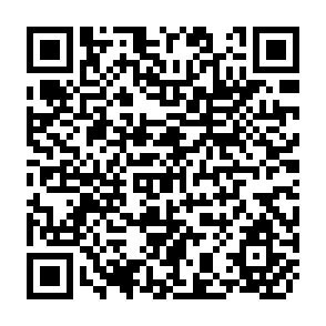 QR Code for Anthropology