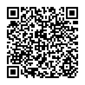 QR Code for Agricultural Development and Rural Reform in Denmark