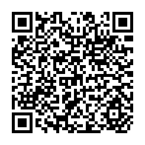 QR Code for Dilemmas of Social Reform