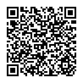 QR Code for Science and Technology for Development : Technical Changes in Industrial Branches