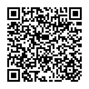 QR Code for Rice Grain Properties and Resistance to Storage Insects: A eview