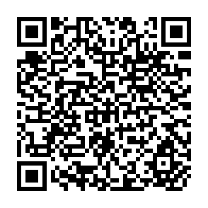 QR Code for Energetics And Subsistence Affluence In Traditional Agriculture