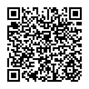 QR Code for Principles of Tenancy Legislation