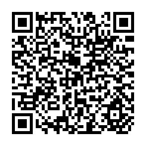 QR Code for On the Dynamics of Development of Contemporary States: An Approach to Comparative Politics