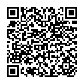 QR Code for Report of the Study on Dairy and Pasture Production in New Zealand and Australia
