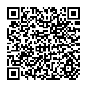 QR Code for Distortions Of Agricultural Incentives