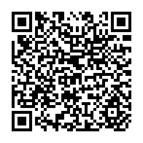 QR Code for Report bof the Special Committee on Agrarian Reform