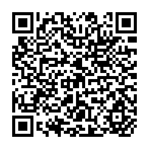 QR Code for Developed-country agricultural policies and developing-country supplies: The case of wheat