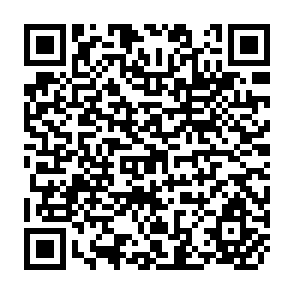 QR Code for Land concentration and rural poverty