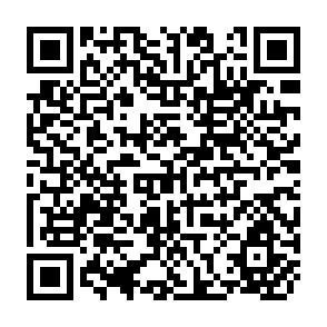 QR Code for FAO Commodity Review and Outlook 1980-1981