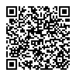 QR Code for Stochastic Processes