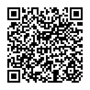QR Code for UNDP/DTCP Discussion Paper