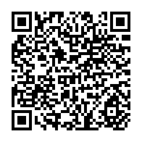 QR Code for Summary Report on the Radio Farm Form Pilot Project