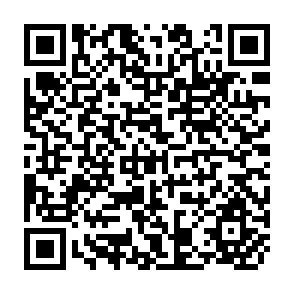QR Code for Writing Reports For Management Decision