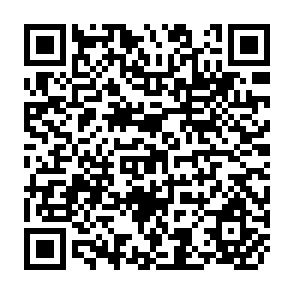 QR Code for World conference on agrarian reform and rural development