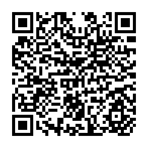 QR Code for Accounting and Management Action