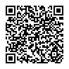 QR Code for Profitability and Unemployment