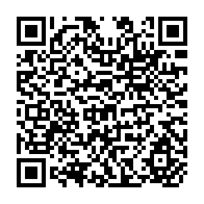QR Code for The Causes of The Present Inflation