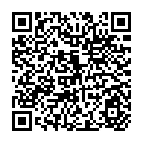 QR Code for Suppliment- Energy for Ruaral Development- Renewable Resources and Alternative Technologies for Developing Countries