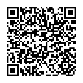 QR Code for A Sociological Portrait