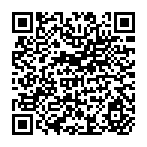 QR Code for The Stagnant Society