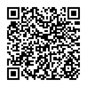QR Code for The Research Program of the World Bank