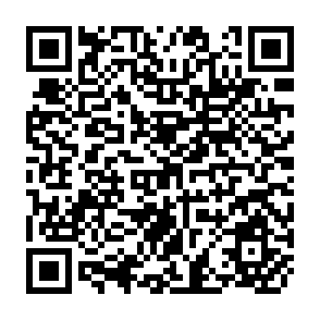 QR Code for World Development Report 1981