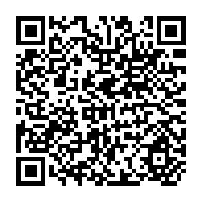 QR Code for A Decade of Learning