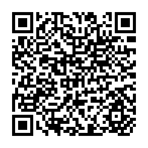 QR Code for The Salapungan Communal Irrigation System